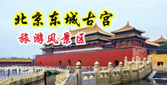 舔B免费视频毛片大全中国北京-东城古宫旅游风景区
